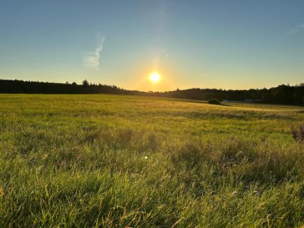 Der frühe Vogel fängt den Wurm: Heute Sonntag gab es in Hemmental einen wunderschönen Sonnenaufgang. 
