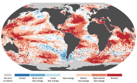 Durchschnittliche Meeresoberflächentemperatur im Juli 2024. Die Farben stellen die in der Legende kategorisierten Abweichungen der Norm 1991-2020 dar. Quelle: Copernicus/ECMWF.
