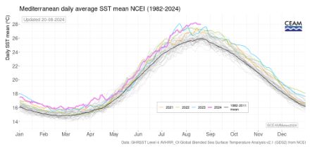 Abbildung 2: Tagesmitteltemperatur der Wasseroberfläche des gesamten Mittelmeers im jährlichen Trend. Die schwarze Kurve zeigt den Durchschnitt aller Tagesmittelwerte von 1982-2011. Die blaue Kurve zeigt den Temperaturverlauf für das Jahr 2023, die violette Kurve den für das Jahr 2024. 