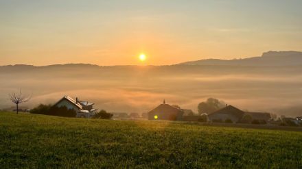 Nebelschwaden zum Sonnenaufgang bei Auboranges im Kanton Fribourg