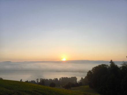 Herbstlich anmutender Blick von Beinwil am See über den Hallwilersee, über welchem eine dünne Hochnebelschicht liegt. 