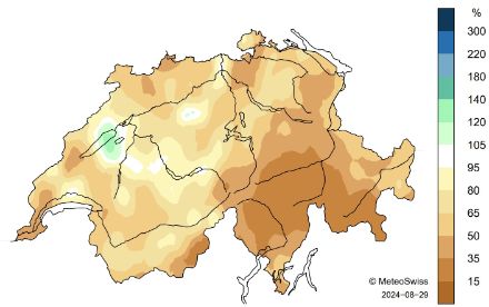 Schweizerkarte zur Niederschlagsverteilung im August