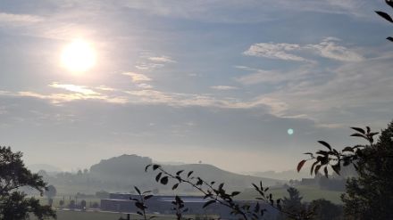 Dunstige Luft am Sonntagmorgen, 01.09.2024 in Balterswil TG. Bild: Meteomeldungen/App