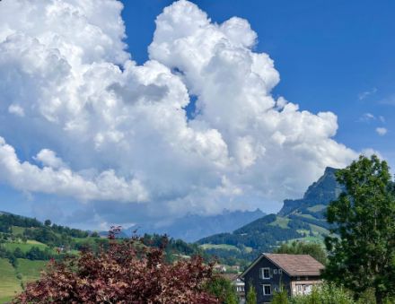 Quellwolken und drohende Gewitter bei Nesslau SG am Sonntagnachmittag, 01.09.2024. Bild: Meteomeldungen/App