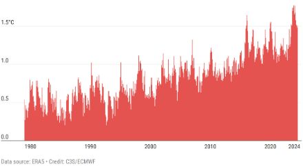 Säulengrafik zum Verlauf der globalen monatlichen Durchschnittstemperatur.