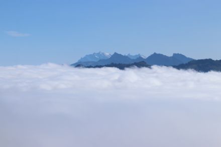 Über dem Hochnebel auf dem Weg zur Alp Wildegg mit Blick zum Säntis. Bild: D. Gerstgrasser