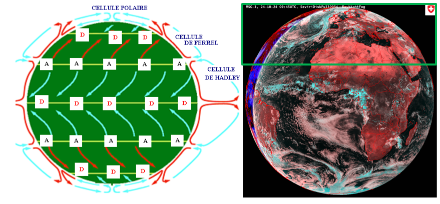 Links: Schematische Darstellung der atmosphärischen Zirkulation an der Erdoberfläche. A steht für die antizyklonalen Subsidenzzonen und D für die Tiefdruckzonen. Rechts: Der eingerahmte Teil entspricht dem Zirkulationsgebiet der Ferrel-Zellen mit den Absinkzonen (Wüsten) im Süden und den dynamischen Hebungszonen (Störungen) im Norden.