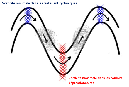 Illustration der Erhaltung der absoluten Vortizität durch Veränderung der relativen Vortizität in Abhängigkeit von der Nord/Süd-Verschiebung der Luftmasse. In Blau die minimale Vortizität auf einem antizyklonalen Rücken und in Rot die maximale Vortizität in einem zyklonalen Trog.