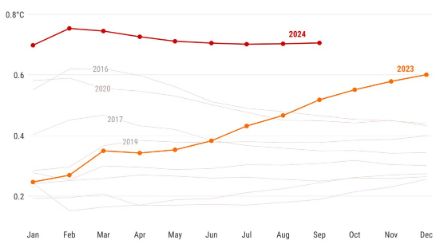 Liniengrafik der monatlichen globalen Temperaturentwicklung 2024 und 2023.