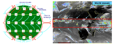 Links: Schematische Darstellung der atmosphärischen Zirkulation an der Erdoberfläche. A steht für antizyklonale Subsidenzzonen und ist im Satellitenbild (rechts) durch die dunklen, wolkenfreien Gebiete (ausser Stratus) dargestellt; die blauen Pfeile, die zum Äquator hin zusammenlaufen, stellen die Passatwinde dar. Die Intertropische Konvergenzzone (ITCZ) wird durch die D’s am Äquator dargestellt; sie wird im Satellitenbild durch die Schauer und Gewitter in der Bildmitte (rotes Quadrat) verdeutlicht.