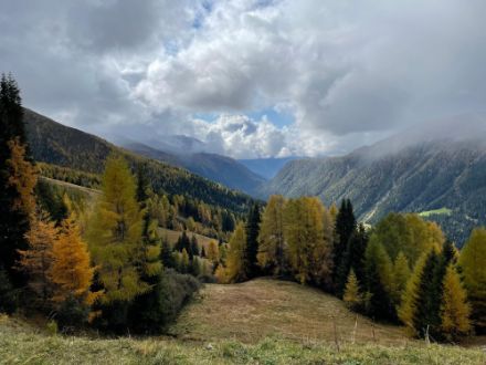 Nicht nur im Engadin, sondern auch bei Davos beginnt die Verfärbung der Lärchen. Die Wolken illustrieren beispielhaft die bislang im Oktober überwiegend wechselhafte Witterung. 