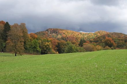 Farbiger Herbstwald mit grüner Wiese im Vordergrund.