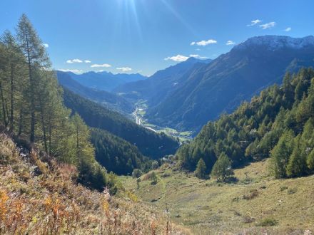 Oberhalb von Piotta in der Leventina präsentierte sich die Landschaft im schönsten Herbstkleid.