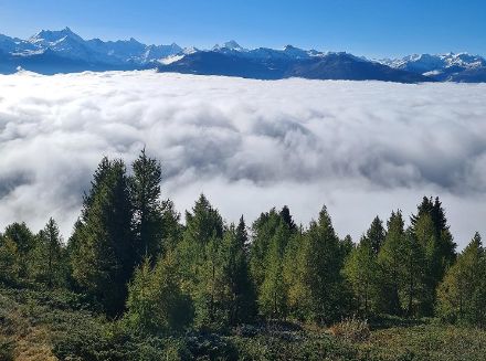 Oberhalb Icogne im Zentralwallis konnte man heute Vormittag die Sonne in vollen Zügen geniessen, während unterhalb von etwa 2000 Metern eine kompakte Wolkenschicht noch für trübe Verhältnisse sorgte. Immerhin lag die Wolkenobergrenze deutlich tiefer als in den östlichen Alpen.
