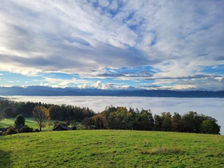 In Uetikon am See konnte man heute zwei wichtige Wetterelemente erkennen, nämlich den Nebel über dem Zürichsee und den Föhn, welcher sich durch die Föhnmauer in den Alpen (Bildhintergrund) bemerkbar machte.