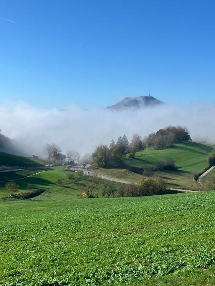 Wiesen, Nebelschwaden und ein Hügel