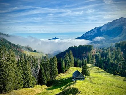 Der Hochnebel reichte heute Vormittag teils bis weit in die Voralpen hinein, wie hier im Alpstein bei Weissbad AI.