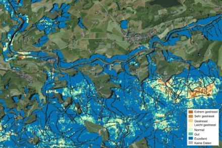 Satellitenkarte des Waldes nördlich von Raten (ZG)