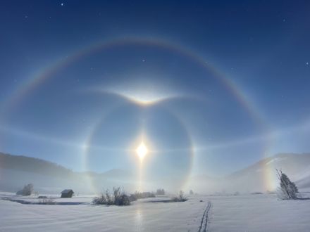 Eisnebelhalophänomen im Hochmoor bei Rothenthurm. 
