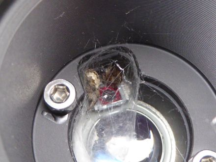 Eine Spinne beeinträchtigt hat ihrem Spinnennetz die Schneemessung des Lasersensors. 