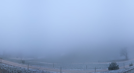Auf dem Roggenberg bei Oensingen SO (ca. 800 m. ü. M.) konnte heute am Vormittag eine dünne Schneedecke registriert werden.