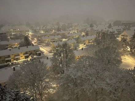 Neuschnee in Bern am Montagmorgen, 23. Dezember 2024.