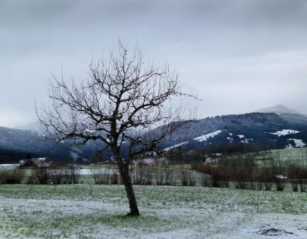 In Lagen oberhalb von 600 bis 800 Metern bringt am Montag eine zyklonale Ostlage etwas Neuschnee. Im Bild Oberschrot bei Plaffeien auf rund 850 m ü.M. am Sonntagvormittag. 