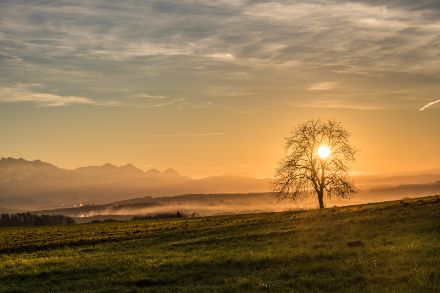 Ein sonniger Tag neigt sich dem Ende entgegen.