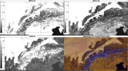 Reflexionsvermögen der Erdoberfläche in den Meteosat-12 Kanälen VIS 0.6 im sichtbaren Spektralbereich (unten links), NIR 1.6 (oben links) und NIR 2.2 (oben rechts) im nahen Infrarotbereich am 29. Dezember 2024, 1000 UTC. Stark reflektierende Flächen wie Schnee, Eis und Flüssigwasser-Wolken erscheinen weiss, geringer reflektierende Bereiche der Erdoberfläche wie bspw. Seen oder das Meer sind dunkel bis schwarz.