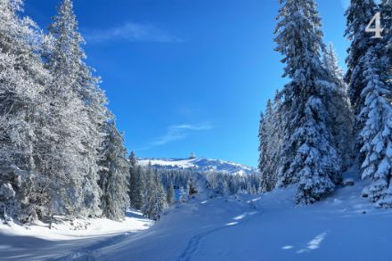 Ein aussergewöhnlich schneereiches Novemberende im Waadtländer Jura: Die gefallenen Schneemengen ermöglichten während einer Skitour den Besuch des Wetterradars in La Dôle.