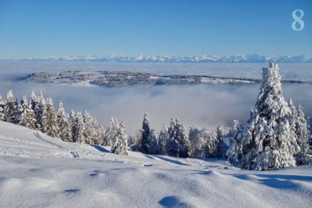 Strahlender Wintertag über einer Stratus-Wolke bei Dent de Vaulion. (E. Kirchner)