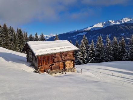 Auf Son Benedetg oberhalb von Sumvitg reichte es im Schutz des nördlichen Alpenhauptkamms nur für wenige cm Neuschnee. 
