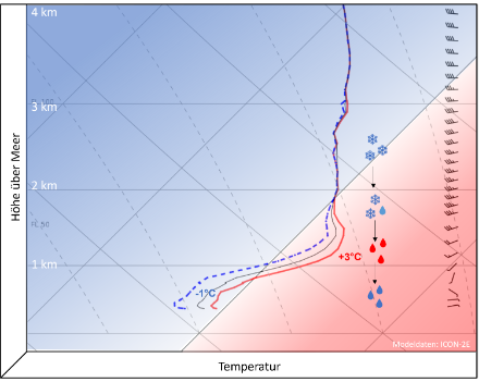 Modellierte Sondierung für einen Gitterpunkt im zentralen Mittelland für den 5. Januar, 2025 um 1 Uhr. Die rote Linie zeigt die Temperatur, die blau gestrichelte den Taupunkt. Ganz rechts ist an den Windfiedern der kräftige West- bis Südwestwind in der Höhe erkennbar. Dazwischen ist mit Symbolen die Niederschlagsform in jeweiliger Höhe erkennbar.
