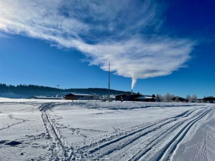La Brévine (NE), am 30.Dezember 2024 um die Mittagszeit. Beim schmalen Turm handelt es sich um den Windmast der Wetterstation, dahinter steigt eine markante Dampffahne auf.