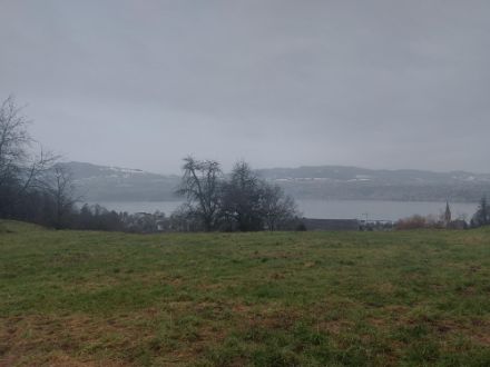 Trüb und regnerisch am Mittwochvormittag in Stäfa ZH. Bild: Meteomeldungen/App