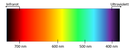 Wellenlängenbereich des für uns sichtbaren Lichts. Je nach Wellenlänge hat das Licht eine andere Farbe. Blaues Licht hat eine kurze Wellenlänge, während Rot eine lange Wellenlänge besitzt.