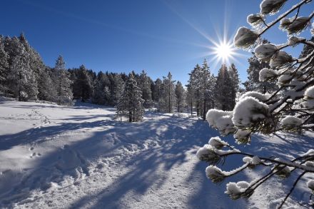 Prachtswetter am Montagmittag auch im Grossschlierental. Bild: U. Graf