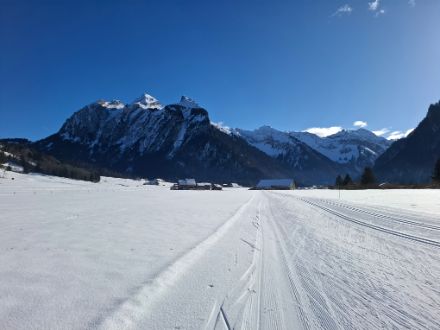 Beste Loipenverhältnisse derzeit (nicht nur) in Studen SZ, hier mit Blick zum Fluebrig.