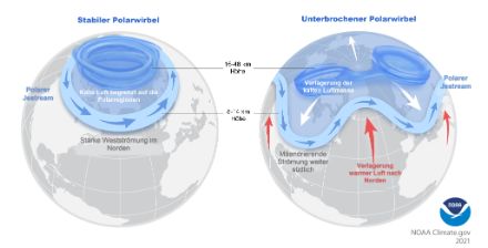 Schematische Darstellung eines stabilen Polarwirbel (links) mit einer geradlinig verlaufenden Strömung um den Wirbel, sowie eines schwach ausgebildeten Polarwirbel (rechts) mit einer wellenförmigen Strömung