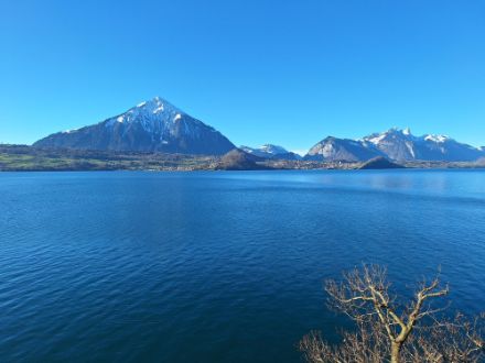 Wolkenlose Verhältnisse in Merligen am Thunersee. Meteomeldung / App 
