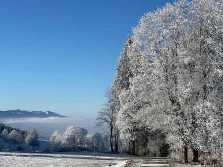 Weisse Landschaft vor blauem Himmel