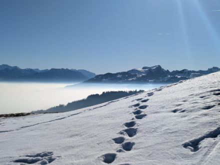 Verschneiter Hang mit Fussspuren, in der Ferne Berge.