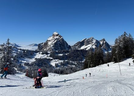 Blick über eine Skipiste auf verschneite Wälder und Berge mit blauem Himmel. 