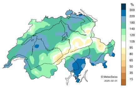Schweizerkarte zum Niederschlag im Januar 2025