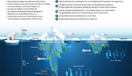 Die Grafik zeigt Presseisrücken und deren Auswirkungen auf die Umwelt. 