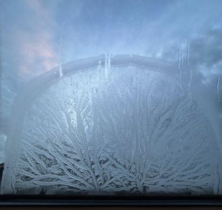 Eisblumen zaubern in den Morgenstunden ein wunderbares Dekor auf die Fensterscheibe.
