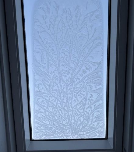 Eisblumen, wie gezeichnet.