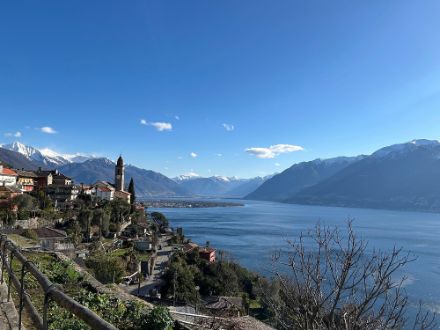 In Ronco oberhalb Ascona konnte heute viel Sonnenschein genossen werden, allerdings wehte ein böiger Nordwind.