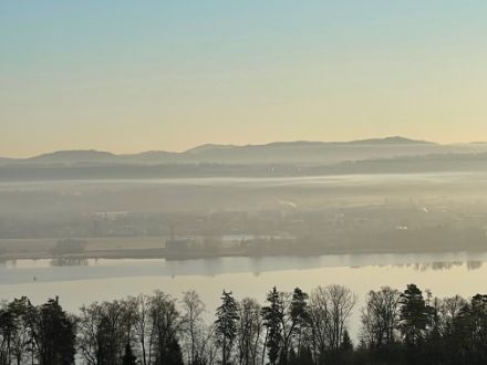 Abbildung 3: Aussicht am Morgen des 6. März 2025 auf den Greifensee. Gut zu erkennen sind mehrere dünne Dunst- resp. Nebelschichten. Die am Hügel im Hintergrund erkennbare, höhere Schicht zeigt die Obergrenze des Kaltluftsees an. Die etwas markantere, leicht neblige und tiefer gelegene Schicht zeigt die Obergrenze eines «Kaltluftsees im Kaltluftsee». 