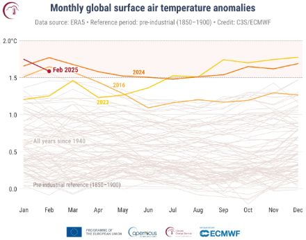Liniengrafik zum monatlichen Verlauf der globalen Temperatur.